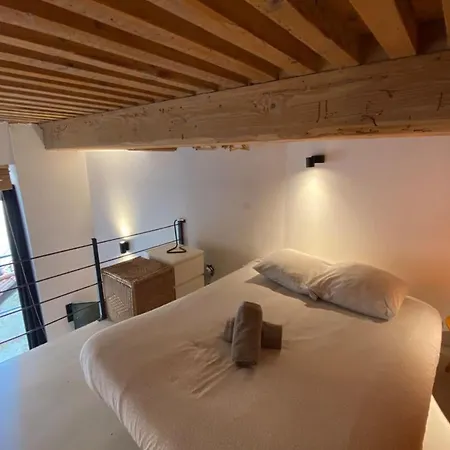 公寓 Charming With Exposed Beams Ainay District *