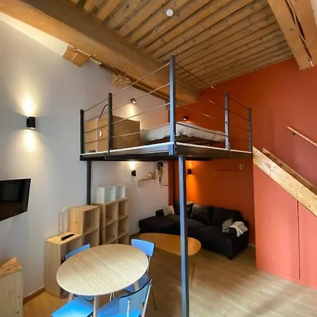 Charming With Exposed Beams Ainay District *