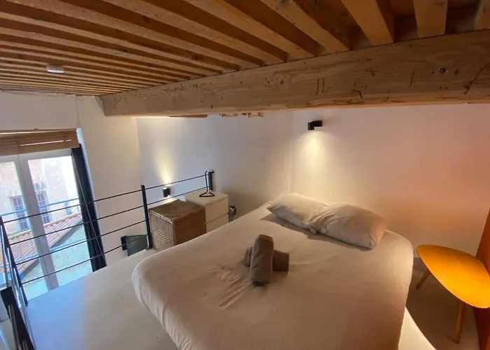 דירה Charming With Exposed Beams Ainay District *