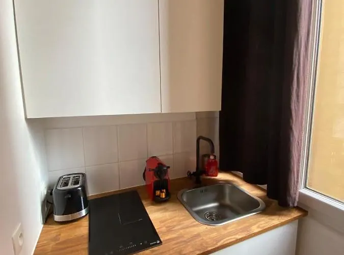 Charming With Exposed Beams Ainay District דירה *