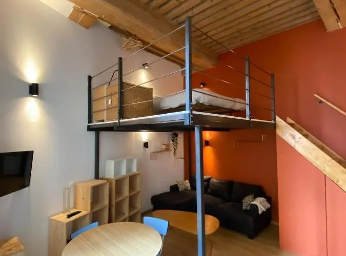 Charming With Exposed Beams Ainay District *