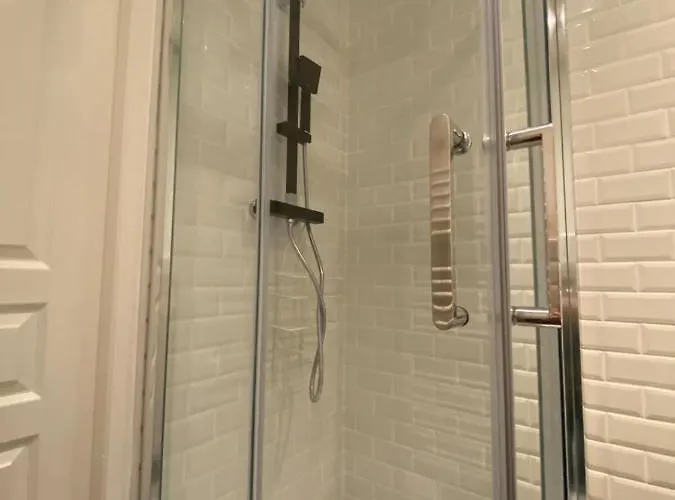 Apartment Charming With Exposed Beams Ainay District Lyon