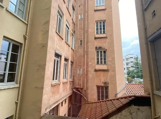 Lejlighed Charming With Exposed Beams Ainay District