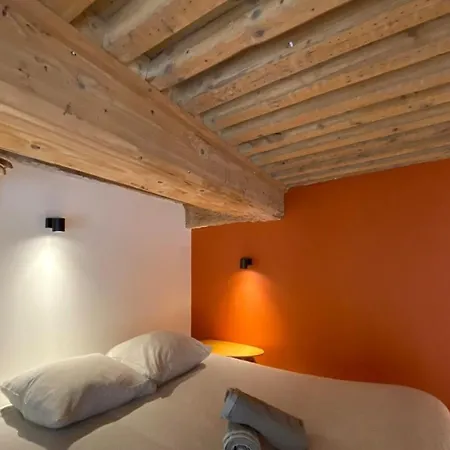 Charming With Exposed Beams Ainay District דירה